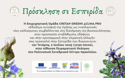 Εσπερίδα Cretan Greens